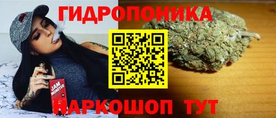 прущие крисы Гагарин
