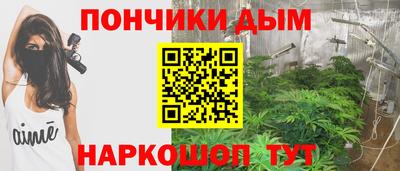 прущие крисы Гагарин